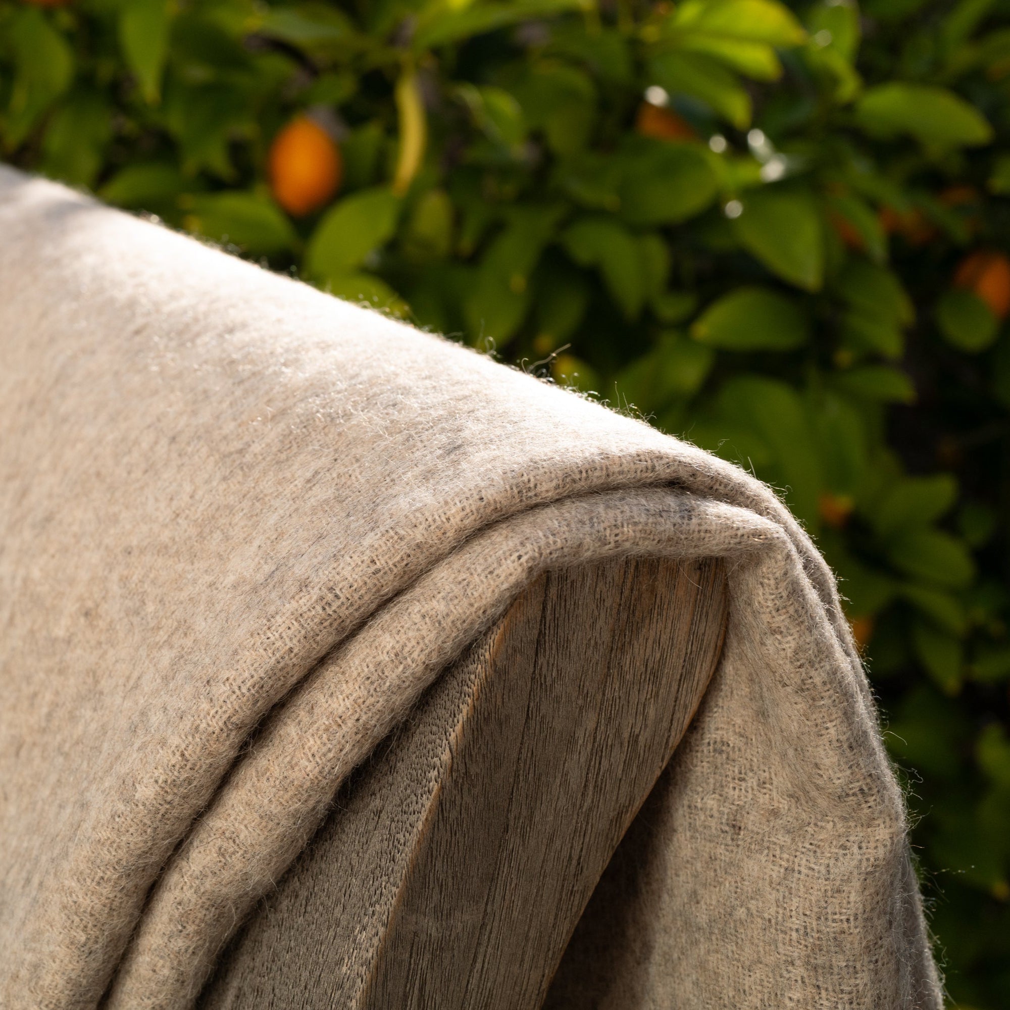 A close-up of the beige Midnight Sun Throw Blanket by Blacksaw, made from eco-friendly materials with visible stitching, is positioned in front of leafy green foliage and small orange fruits, with sunlight highlighting the texture.
