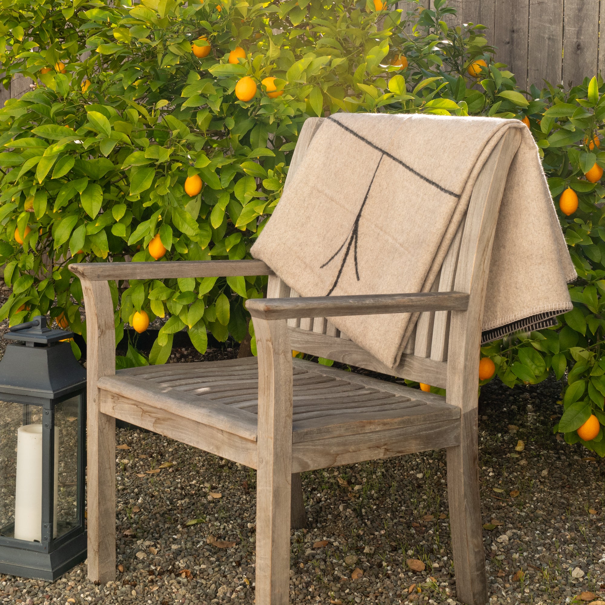 A wooden chair with the hypoallergenic Midnight Sun Throw Blanket by Blacksaw draped over it stands on gravel. A black lantern with a white candle sits nearby. Behind the chair, orange fruit adorns a leafy bush, and an eco-friendly wooden fence completes the scene.